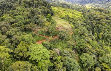 PROPERTY WITH A PANORAMIC VIEWS OF A MOUNTAINS AND WATERFALL, IN ALFOMBRA TINAMASTES – 21.34 ACRES