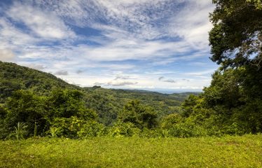 PROPERTY WITH A PANORAMIC VIEWS OF A MOUNTAINS AND WATERFALL, IN ALFOMBRA TINAMASTES – 21.34 ACRES