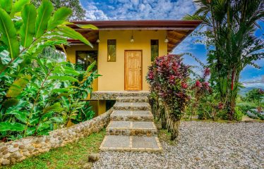 JUNGLE PROPERTY WITH A GUEST HOUSE, IN TRES RIOS – 6.5 ACRES