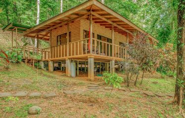 JUNGLE PROPERTY WITH A GUEST HOUSE, IN TRES RIOS – 6.5 ACRES