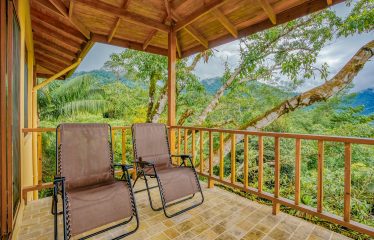 JUNGLE PROPERTY WITH A GUEST HOUSE, IN TRES RIOS – 6.5 ACRES