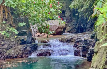 JUNGLE PROPERTY WITH A GUEST HOUSE, IN TRES RIOS – 6.5 ACRES