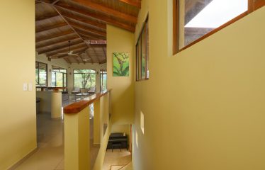 JUNGLE PROPERTY WITH A GUEST HOUSE, IN TRES RIOS – 6.5 ACRES