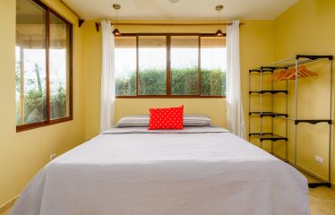 JUNGLE PROPERTY WITH A GUEST HOUSE, IN TRES RIOS – 6.5 ACRES