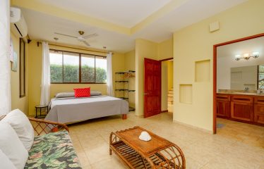 JUNGLE PROPERTY WITH A GUEST HOUSE, IN TRES RIOS – 6.5 ACRES