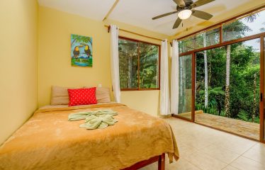 JUNGLE PROPERTY WITH A GUEST HOUSE, IN TRES RIOS – 6.5 ACRES