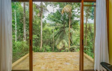 JUNGLE PROPERTY WITH A GUEST HOUSE, IN TRES RIOS – 6.5 ACRES