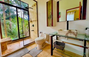JUNGLE PROPERTY WITH A GUEST HOUSE, IN TRES RIOS – 6.5 ACRES
