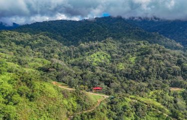 JUNGLE PROPERTY WITH A GUEST HOUSE, IN TRES RIOS – 6.5 ACRES