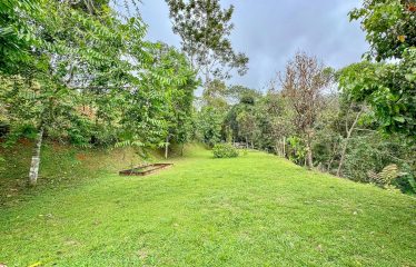 JUNGLE PROPERTY WITH A GUEST HOUSE, IN TRES RIOS – 6.5 ACRES