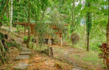 JUNGLE PROPERTY WITH A GUEST HOUSE, IN TRES RIOS – 6.5 ACRES