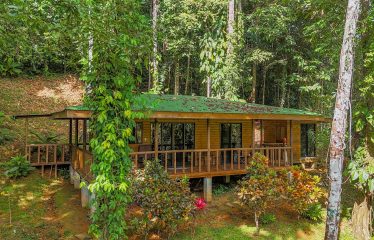 JUNGLE PROPERTY WITH A GUEST HOUSE, IN TRES RIOS – 6.5 ACRES