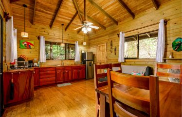 JUNGLE PROPERTY WITH A GUEST HOUSE, IN TRES RIOS – 6.5 ACRES