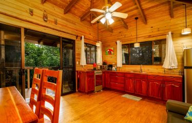 JUNGLE PROPERTY WITH A GUEST HOUSE, IN TRES RIOS – 6.5 ACRES