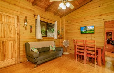 JUNGLE PROPERTY WITH A GUEST HOUSE, IN TRES RIOS – 6.5 ACRES