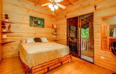 JUNGLE PROPERTY WITH A GUEST HOUSE, IN TRES RIOS – 6.5 ACRES