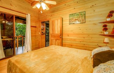 JUNGLE PROPERTY WITH A GUEST HOUSE, IN TRES RIOS – 6.5 ACRES