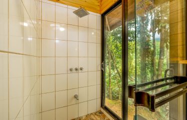 JUNGLE PROPERTY WITH A GUEST HOUSE, IN TRES RIOS – 6.5 ACRES