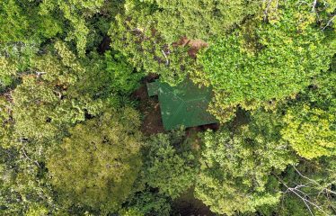 JUNGLE PROPERTY WITH A GUEST HOUSE, IN TRES RIOS – 6.5 ACRES