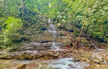 JUNGLE PROPERTY WITH A GUEST HOUSE, IN TRES RIOS – 6.5 ACRES