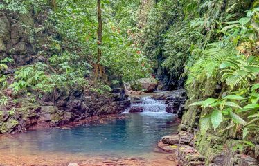 JUNGLE PROPERTY WITH A GUEST HOUSE, IN TRES RIOS – 6.5 ACRES