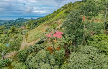 JUNGLE PROPERTY WITH A GUEST HOUSE, IN TRES RIOS – 6.5 ACRES