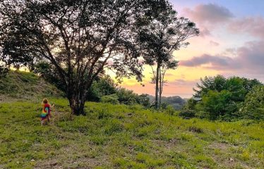 MOUNTAIN PROPERTY WITH OCEAN VIEWS AND SUNSET, IN OJOCHAL – 1.92 ACRES