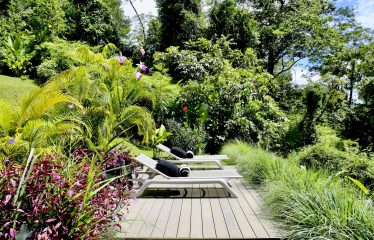 BLACK VILLAS IN THE MIDDLE OF THE NATURE, IN UVITA – 2.35 ACRES