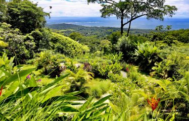 BLACK VILLAS IN THE MIDDLE OF THE NATURE, IN UVITA – 2.35 ACRES