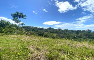 PROPERTY WITH OCEAN VIEWS AND SUNSET, IN OJOCHAL – 3.40 ACRES