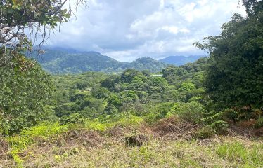 PROPERTY WITH OCEAN VIEWS AND SUNSET, IN OJOCHAL – 3.40 ACRES