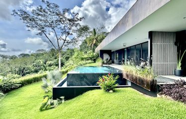BLACK VILLAS IN THE MIDDLE OF THE NATURE, IN UVITA – 2.35 ACRES