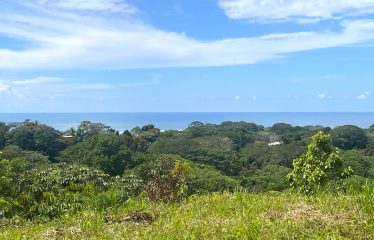 PROPERTY WITH OCEAN VIEWS AND SUNSET, IN OJOCHAL – 3.40 ACRES