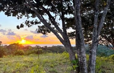 TWO EXCLUSIVE LOTS WITH PANORAMIC OCEAN AND SUNSET VIEWS, IN OJOCHAL – 5.32 ACRES