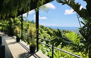 BLACK HOUSE JUNGLE PROPERTY, IN UVITA – 4.32 ACRES