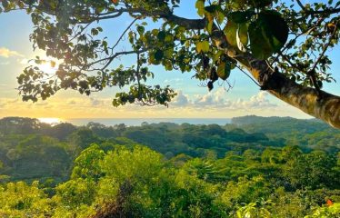 TWO EXCLUSIVE LOTS WITH PANORAMIC OCEAN AND SUNSET VIEWS, IN OJOCHAL – 5.32 ACRES