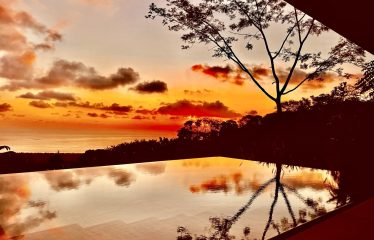 BLACK VILLAS IN THE MIDDLE OF THE NATURE, IN UVITA – 2.35 ACRES