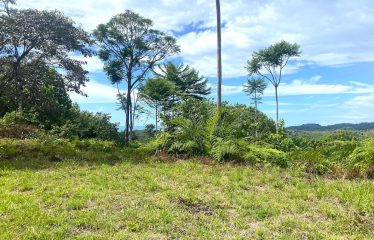 MOUNTAIN PROPERTY WITH OCEAN VIEWS AND SUNSET, IN OJOCHAL – 1.92 ACRES