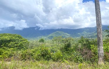 TWO EXCLUSIVE LOTS WITH PANORAMIC OCEAN AND SUNSET VIEWS, IN OJOCHAL – 5.32 ACRES