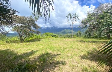 TWO EXCLUSIVE LOTS WITH PANORAMIC OCEAN AND SUNSET VIEWS, IN OJOCHAL – 5.32 ACRES
