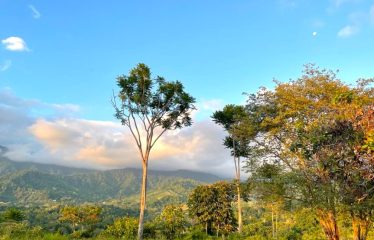 TWO EXCLUSIVE LOTS WITH PANORAMIC OCEAN AND SUNSET VIEWS, IN OJOCHAL – 5.32 ACRES