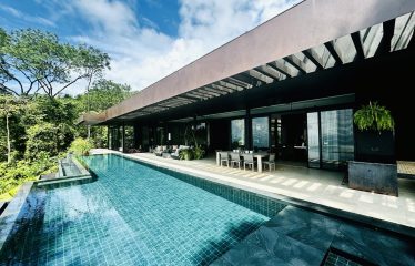 BLACK HOUSE JUNGLE PROPERTY, IN UVITA – 4.32 ACRES