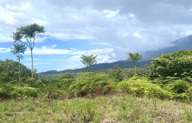 MOUNTAIN PROPERTY WITH OCEAN VIEWS AND SUNSET, IN OJOCHAL – 1.92 ACRES