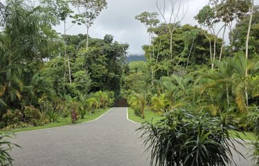 PROPERTY WITH LANDSCAPING VIEWS, IN UVITA JARDINES DEL MORETE – 2.33 ACRES