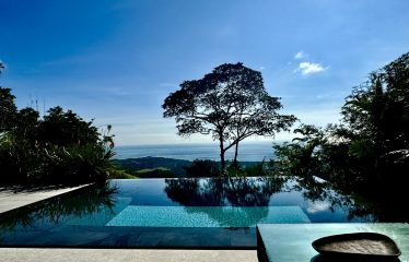 BLACK VILLAS IN THE MIDDLE OF THE NATURE, IN UVITA – 2.35 ACRES