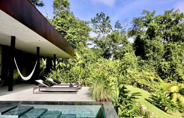 BLACK VILLAS IN THE MIDDLE OF THE NATURE, IN UVITA – 2.35 ACRES