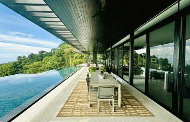 BLACK HOUSE JUNGLE PROPERTY, IN UVITA – 4.32 ACRES