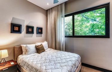 OCEAN VIEW VILLA IN TERRACES AT SAN MARTIN