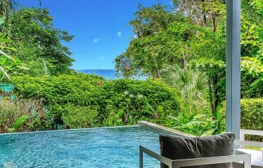 OCEAN VIEW VILLA IN TERRACES AT SAN MARTIN