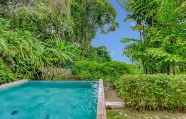 OCEAN VIEW VILLA IN TERRACES AT SAN MARTIN